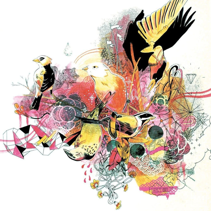 Birds - Éditions Limitées - 120x120cm, 60x60cm, @duo60120, Animaux,