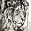 Black is Back - Éditions Limitées - @trio6565, Animal, Animaux, Blanc, Crayon