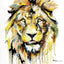 Look at me - Éditions Limitées - @quatuor135135, Animaux, Blanc, Calme, Crinière