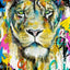 Menelas - Éditions Limitées - @trio8055, Animaux, Crinière, Dibond®, Lion