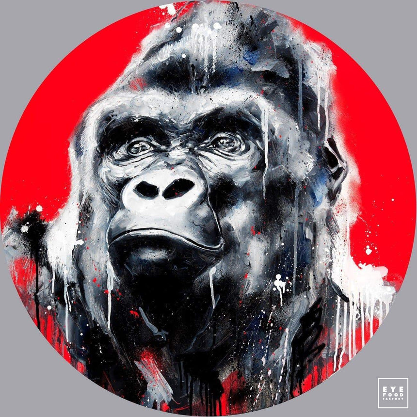 Nelson - Éditions Limitées - 100x100cm, Animaux, Dibond®, Gorille, Original